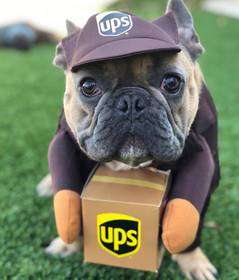 Ролевые костюмы для домашних животных, серия курьеров UPS, удобные в ношении, с индивидуальностью
